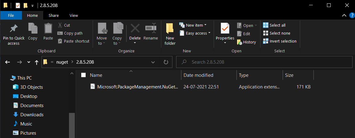 Default NuGet Package Provider folder