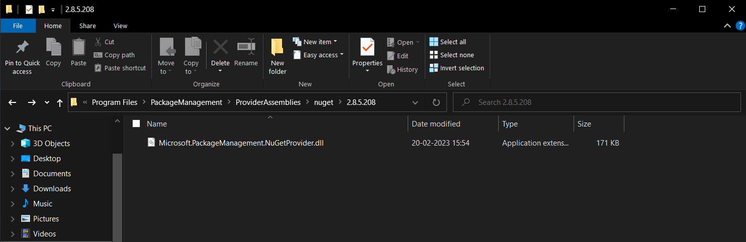 NuGet Package Provider folder